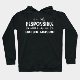 I'm only responsible for what i say, not for what you understand Hoodie